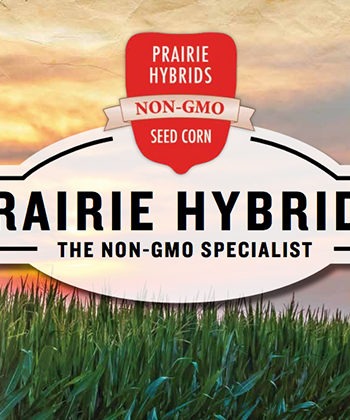 PRAIRIE-HYBRIDS