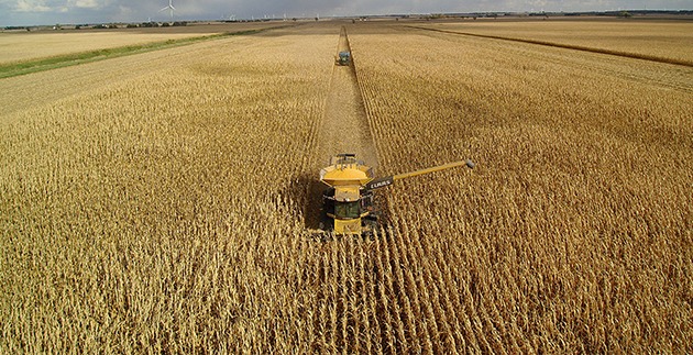 Prairie Test Prairie Hybrids Customer Field Test and Plot Results Are In!